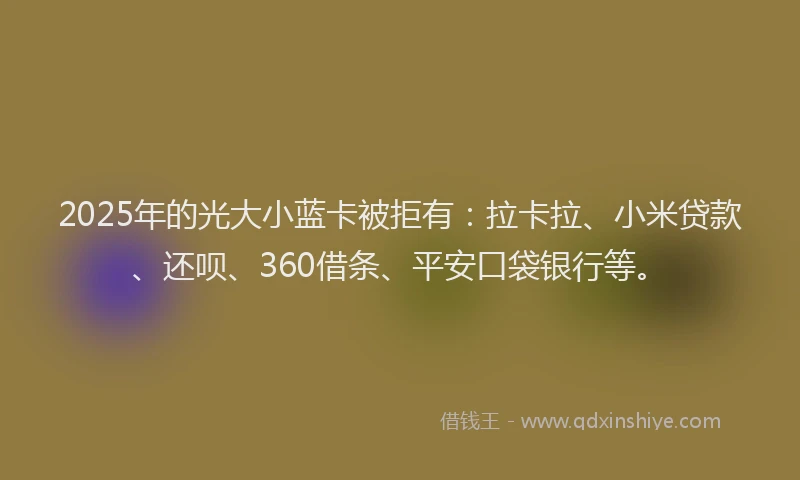 2025年的光大小蓝卡被拒有：拉卡拉、小米贷款、还呗、360借条、平安口袋银行等。