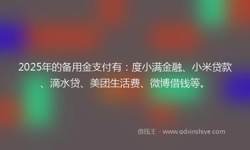 2025年的备用金支付有：度小满金融、小米贷款、滴水贷、美团生活费、微博借钱等。
