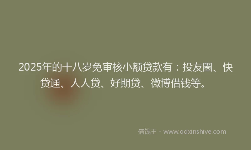 2025年的十八岁免审核小额贷款有：投友圈、快贷通、人人贷、好期贷、微博借钱等。