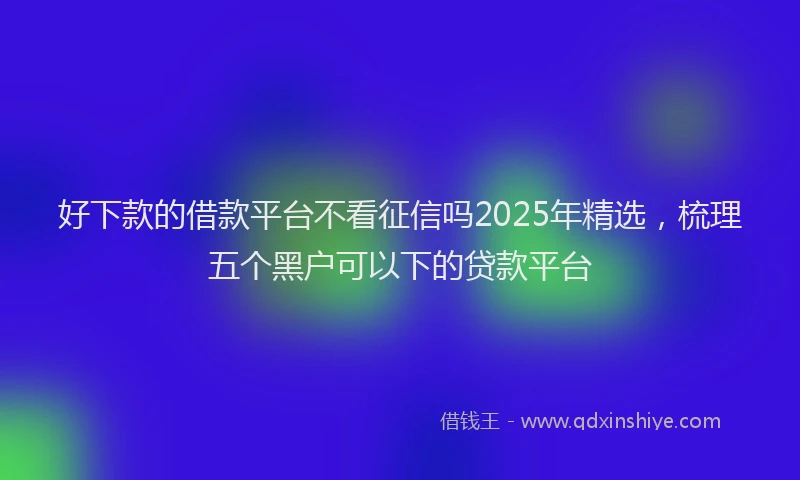 好下款的借款平台不看征信吗2025年精选，梳理五个黑户可以下的贷款平台