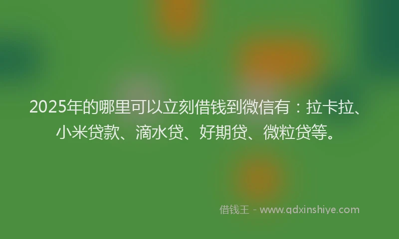 2025年的哪里可以立刻借钱到微信有：拉卡拉、小米贷款、滴水贷、好期贷、微粒贷等。