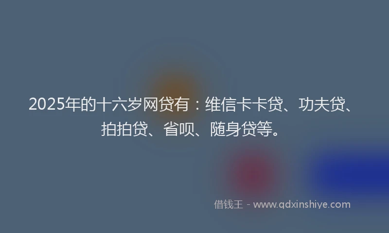 2025年的十六岁网贷有：维信卡卡贷、功夫贷、拍拍贷、省呗、随身贷等。