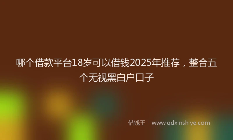 哪个借款平台18岁可以借钱2025年推荐，整合五个无视黑白户口子