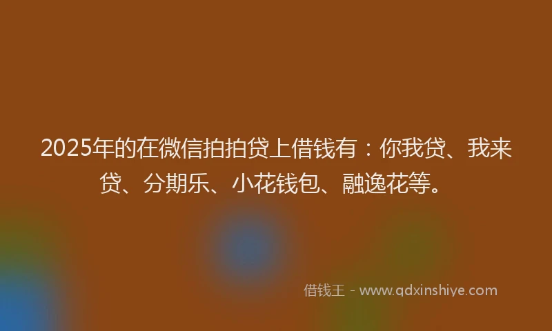 2025年的在微信拍拍贷上借钱有：你我贷、我来贷、分期乐、小花钱包、融逸花等。