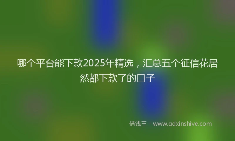 哪个平台能下款2025年精选，汇总五个征信花居然都下款了的口子