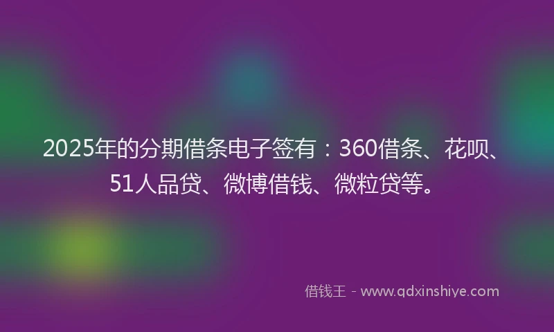 2025年的分期借条电子签有：360借条、花呗、51人品贷、微博借钱、微粒贷等。