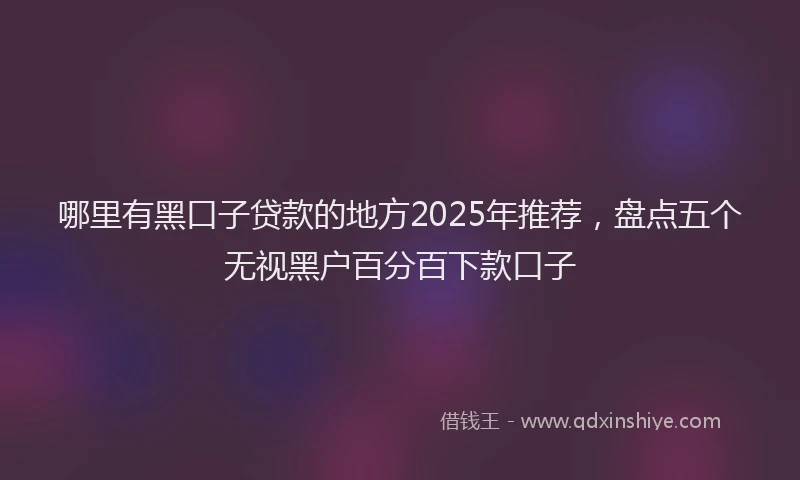 哪里有黑口子贷款的地方2025年推荐，盘点五个无视黑户百分百下款口子