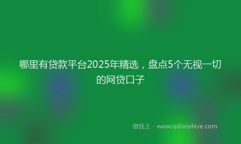哪里有贷款平台2025年精选，盘点5个无视一切的网贷口子