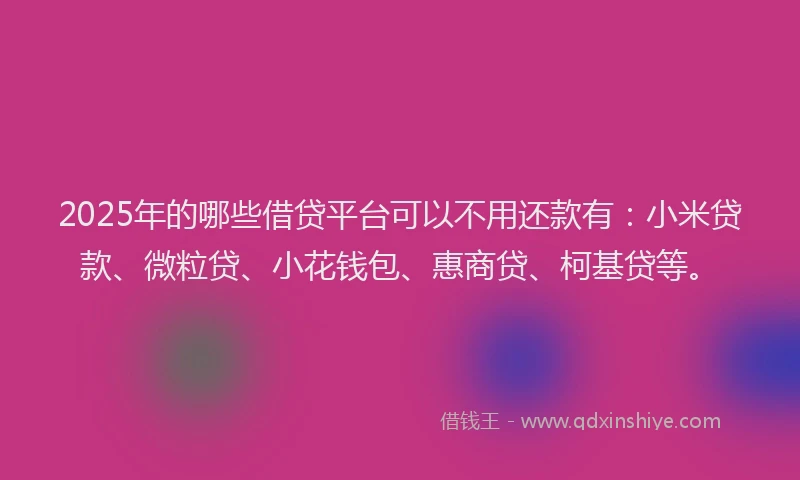 2025年的哪些借贷平台可以不用还款有：小米贷款、微粒贷、小花钱包、惠商贷、柯基贷等。