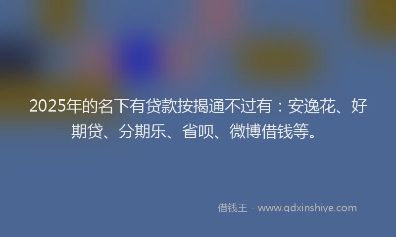 2025年的名下有贷款按揭通不过有：安逸花、好期贷、分期乐、省呗、微博借钱等。