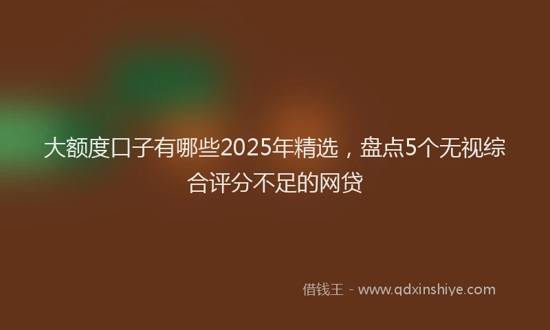 大额度口子有哪些2025年精选，盘点5个无视综合评分不足的网贷