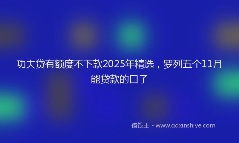 功夫贷有额度不下款2025年精选，罗列五个11月能贷款的口子
