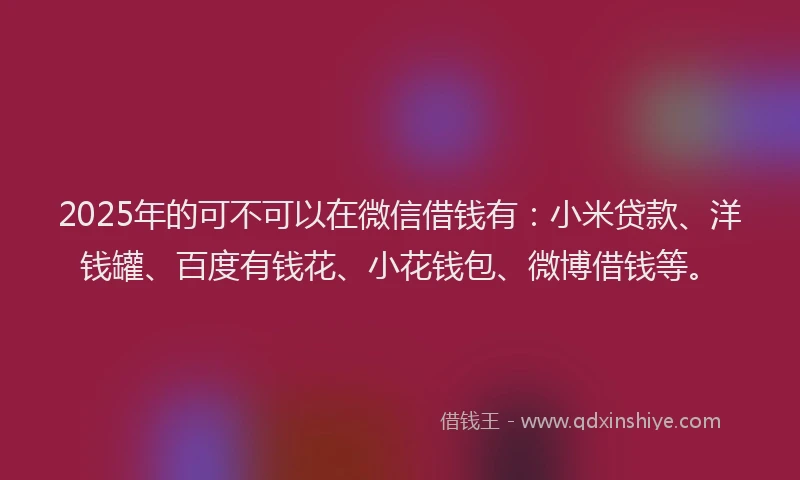 2025年的可不可以在微信借钱有：小米贷款、洋钱罐、百度有钱花、小花钱包、微博借钱等。
