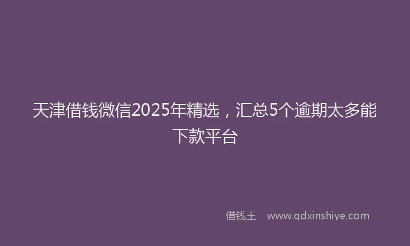 天津借钱微信2025年精选，汇总5个逾期太多能下款平台