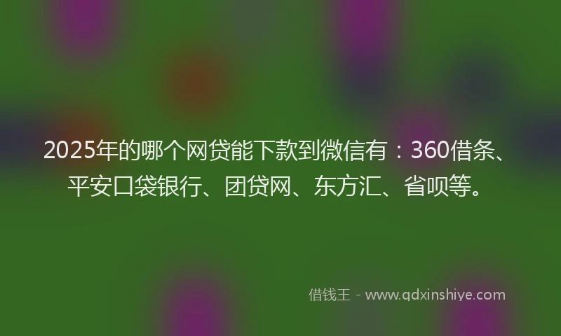 2025年的哪个网贷能下款到微信有：360借条、平安口袋银行、团贷网、东方汇、省呗等。