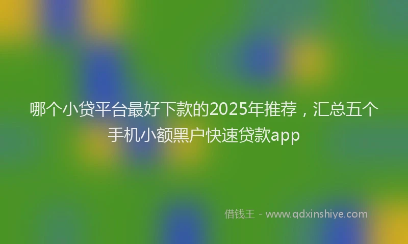 哪个小贷平台最好下款的2025年推荐，汇总五个手机小额黑户快速贷款app