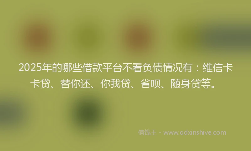 2025年的哪些借款平台不看负债情况有：维信卡卡贷、替你还、你我贷、省呗、随身贷等。