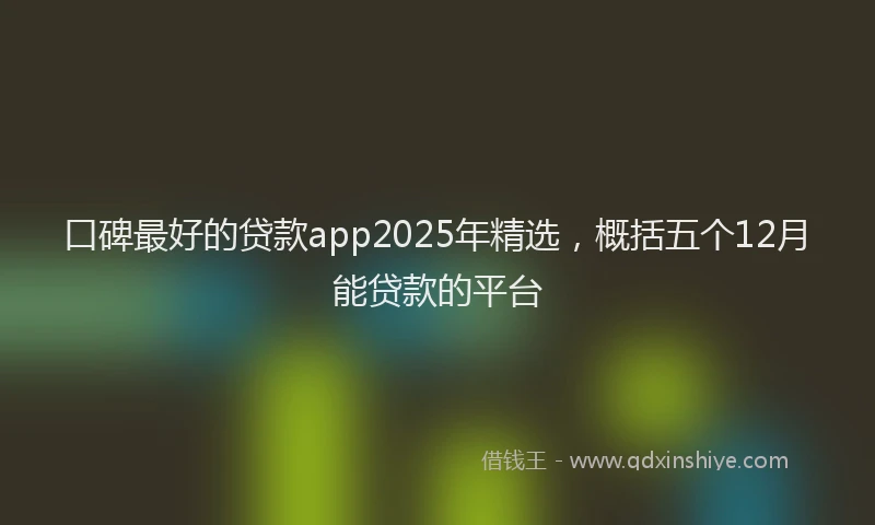 口碑最好的贷款app2025年精选，概括五个12月能贷款的平台