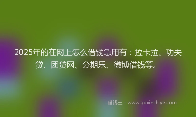 2025年的在网上怎么借钱急用有：拉卡拉、功夫贷、团贷网、分期乐、微博借钱等。