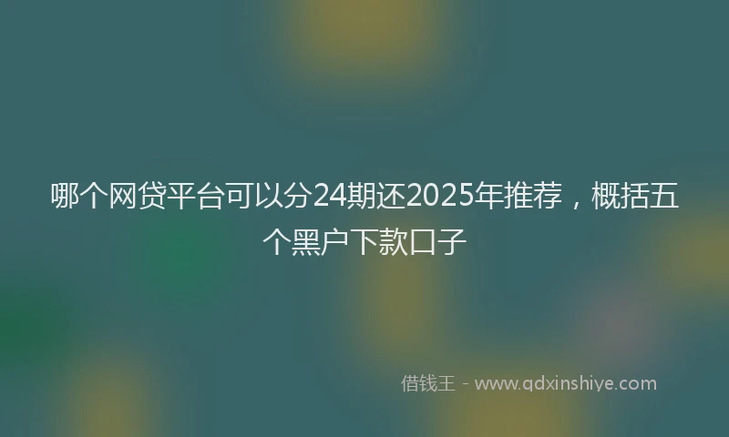 哪个网贷平台可以分24期还2025年推荐，概括五个黑户下款口子