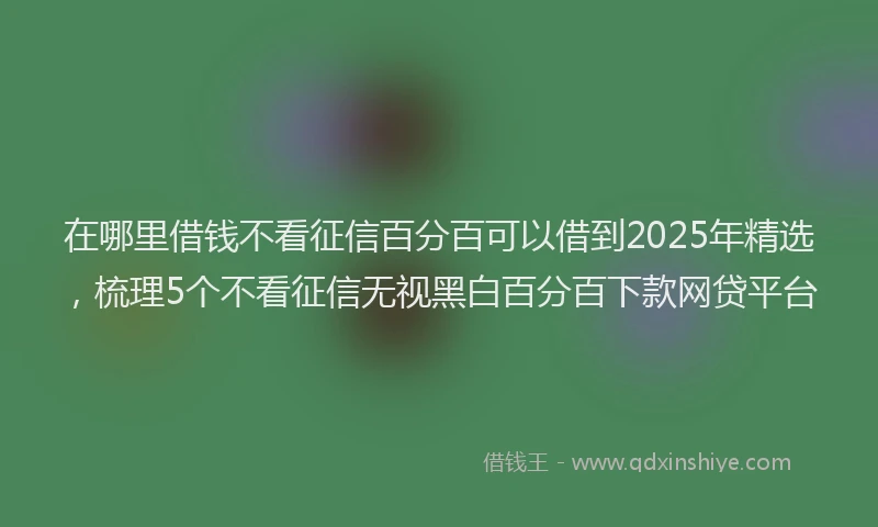 在哪里借钱不看征信百分百可以借到2025年精选，梳理5个不看征信无视黑白百分百下款网贷平台