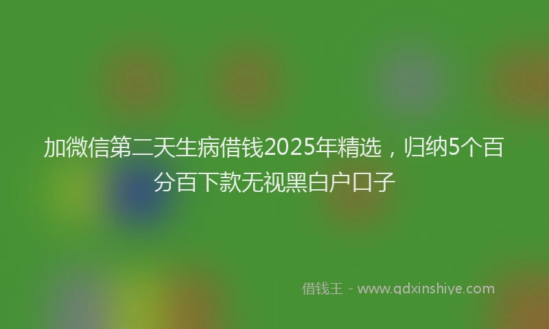 加微信第二天生病借钱2025年精选，归纳5个百分百下款无视黑白户口子
