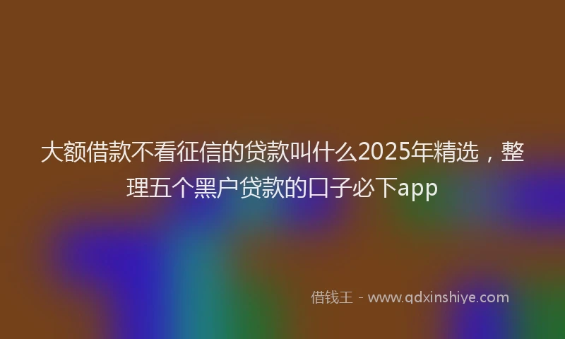 大额借款不看征信的贷款叫什么2025年精选，整理五个黑户贷款的口子必下app