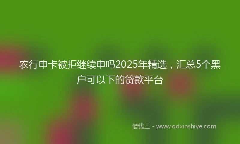 农行申卡被拒继续申吗2025年精选，汇总5个黑户可以下的贷款平台