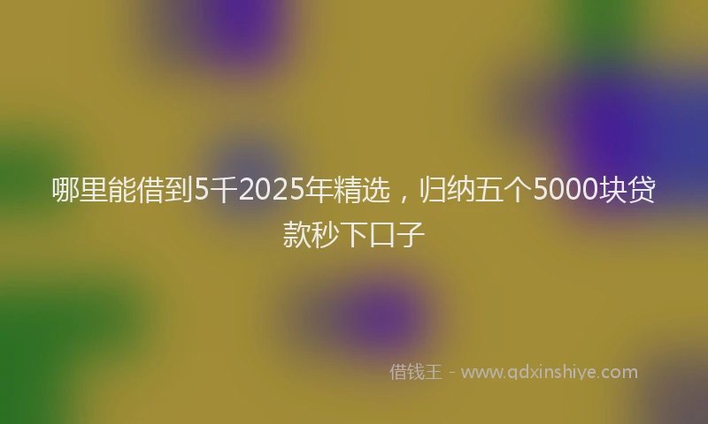 哪里能借到5千2025年精选，归纳五个5000块贷款秒下口子