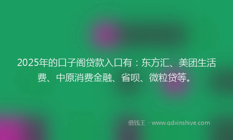 2025年的口子阁贷款入口有：东方汇、美团生活费、中原消费金融、省呗、微粒贷等。
