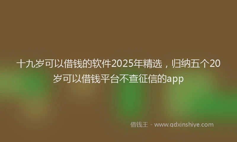 十九岁可以借钱的软件2025年精选，归纳五个20岁可以借钱平台不查征信的app