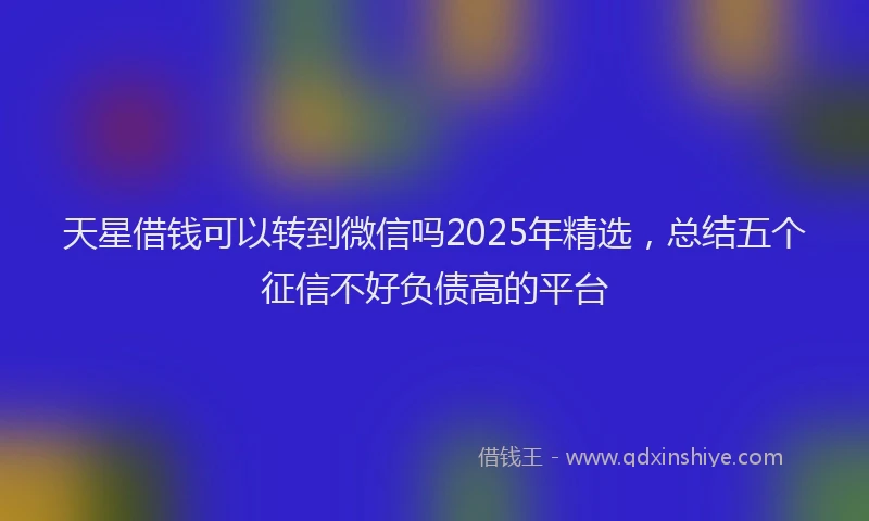 天星借钱可以转到微信吗2025年精选，总结五个征信不好负债高的平台