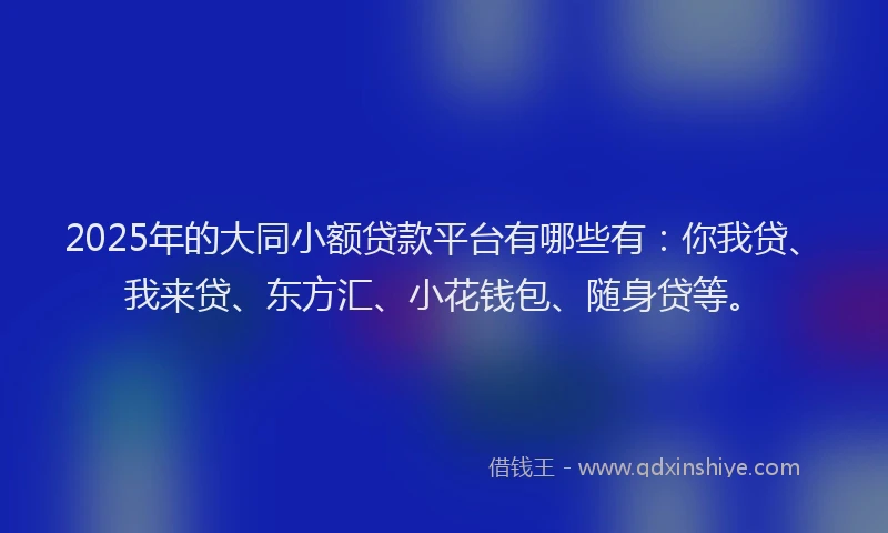 2025年的大同小额贷款平台有哪些有：你我贷、我来贷、东方汇、小花钱包、随身贷等。