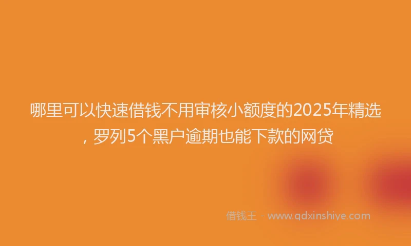 哪里可以快速借钱不用审核小额度的2025年精选，罗列5个黑户逾期也能下款的网贷