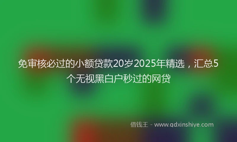 免审核必过的小额贷款20岁2025年精选，汇总5个无视黑白户秒过的网贷