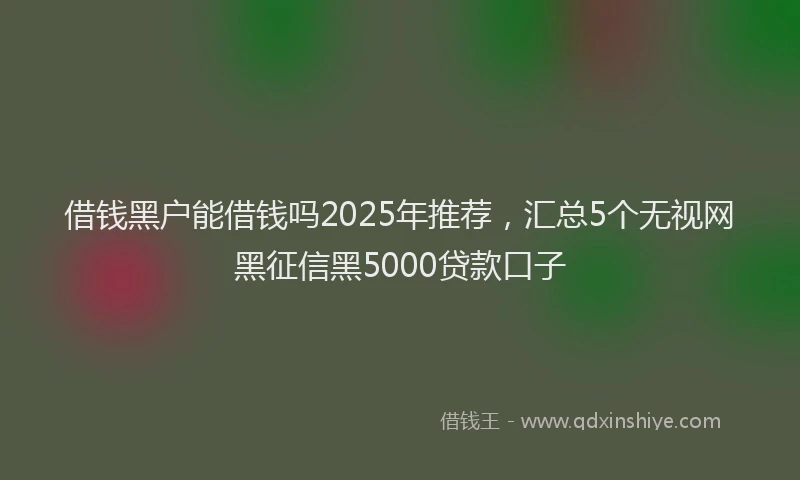 借钱黑户能借钱吗2025年推荐，汇总5个无视网黑征信黑5000贷款口子