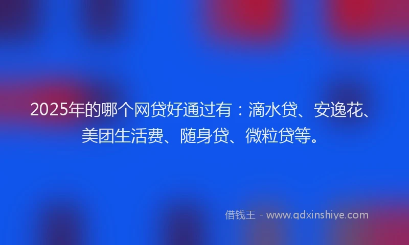 2025年的哪个网贷好通过有：滴水贷、安逸花、美团生活费、随身贷、微粒贷等。