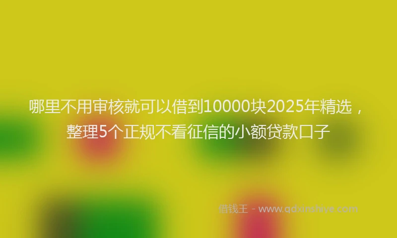 哪里不用审核就可以借到10000块2025年精选，整理5个正规不看征信的小额贷款口子