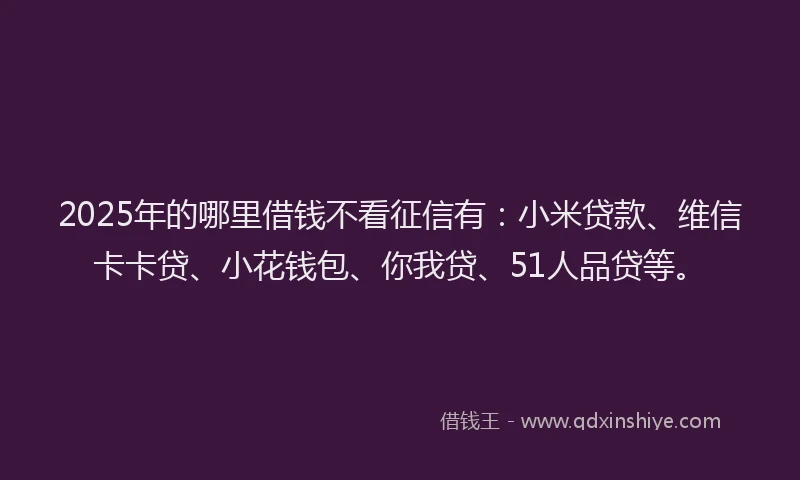 2025年的哪里借钱不看征信有：小米贷款、维信卡卡贷、小花钱包、你我贷、51人品贷等。