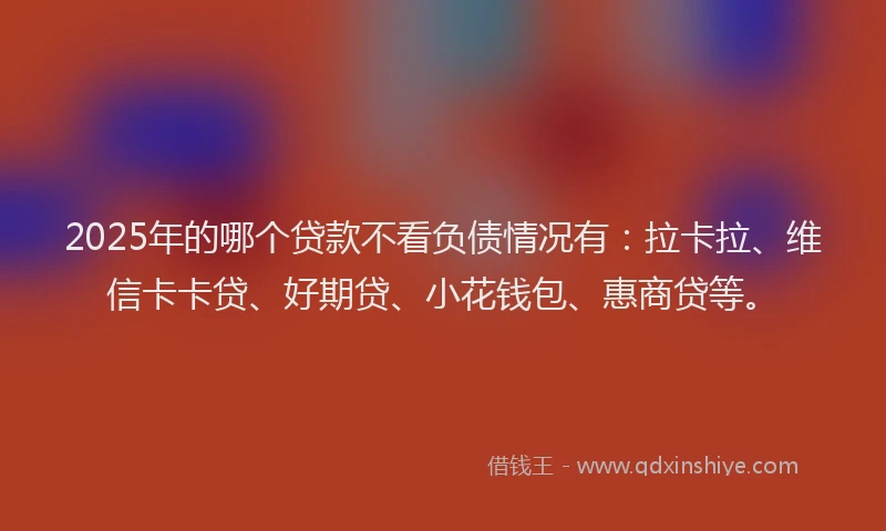 2025年的哪个贷款不看负债情况有：拉卡拉、维信卡卡贷、好期贷、小花钱包、惠商贷等。