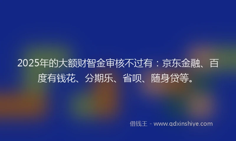2025年的大额财智金审核不过有：京东金融、百度有钱花、分期乐、省呗、随身贷等。