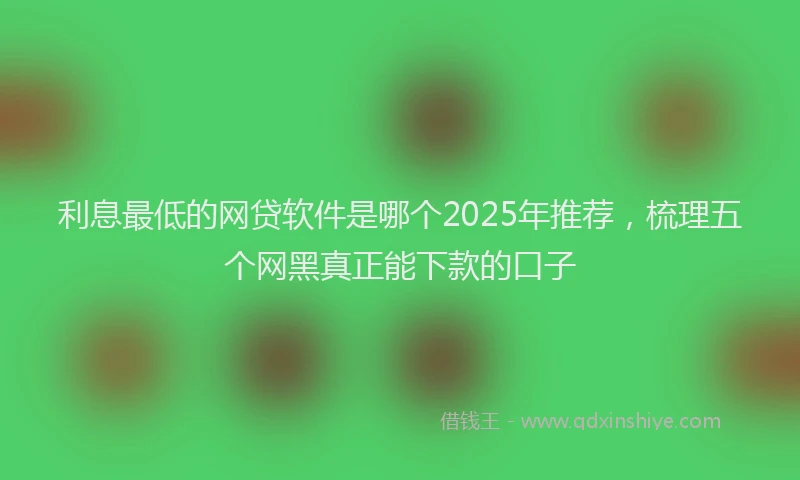 利息最低的网贷软件是哪个2025年推荐，梳理五个网黑真正能下款的口子
