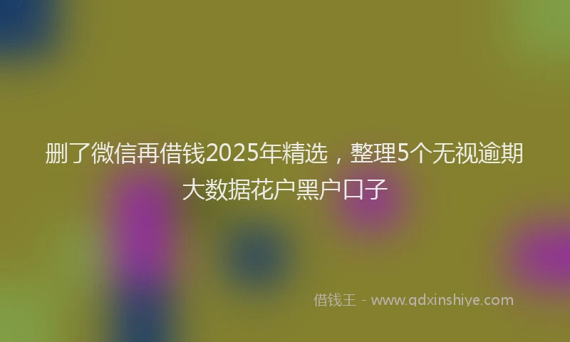 删了微信再借钱2025年精选，整理5个无视逾期大数据花户黑户口子