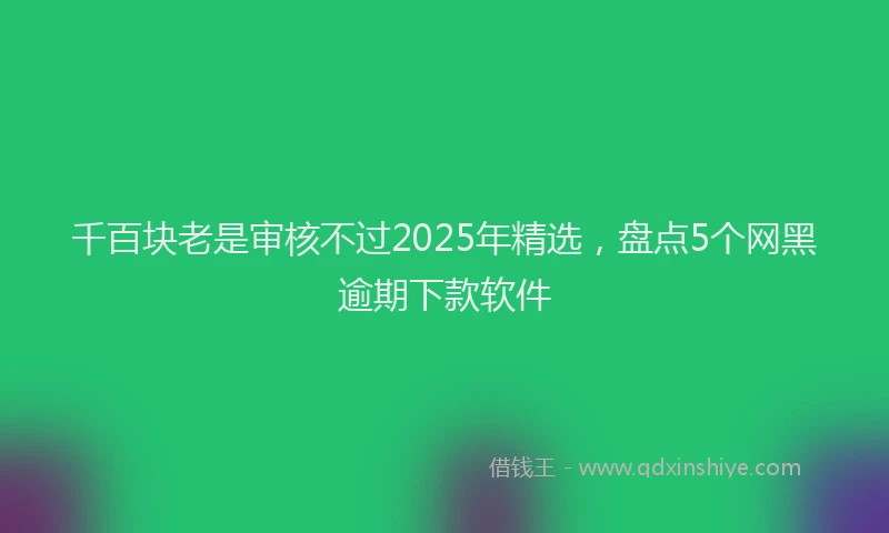 千百块老是审核不过2025年精选，盘点5个网黑逾期下款软件