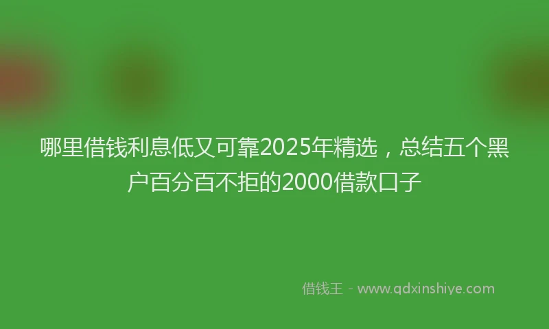 哪里借钱利息低又可靠2025年精选，总结五个黑户百分百不拒的2000借款口子