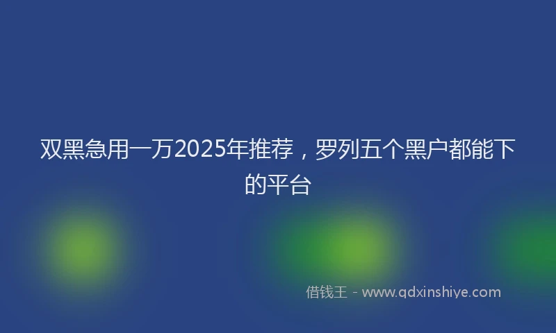 双黑急用一万2025年推荐，罗列五个黑户都能下的平台