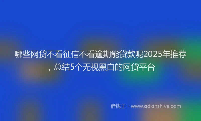 哪些网贷不看征信不看逾期能贷款呢2025年推荐，总结5个无视黑白的网贷平台