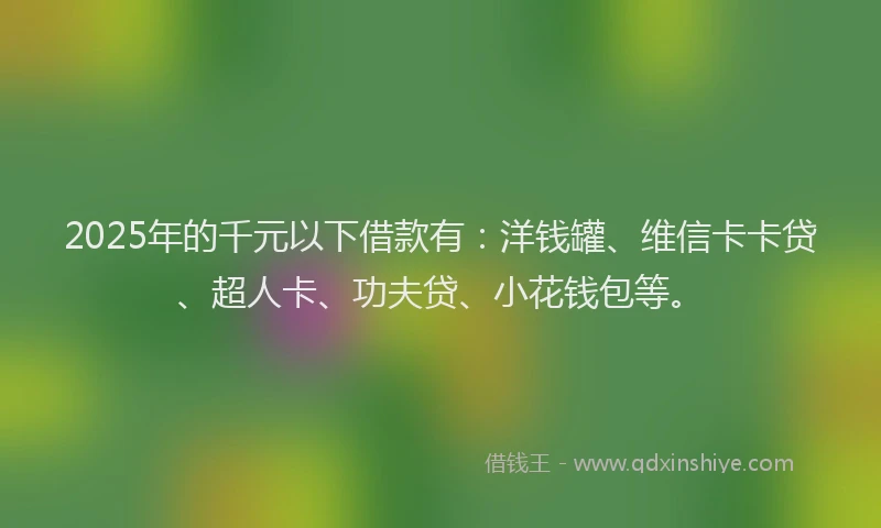 2025年的千元以下借款有：洋钱罐、维信卡卡贷、超人卡、功夫贷、小花钱包等。