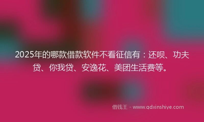 2025年的哪款借款软件不看征信有：还呗、功夫贷、你我贷、安逸花、美团生活费等。