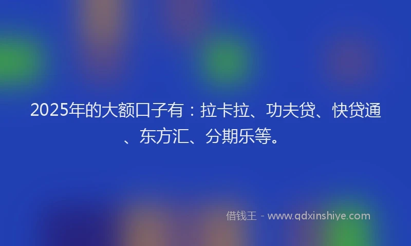 2025年的大额口子有：拉卡拉、功夫贷、快贷通、东方汇、分期乐等。